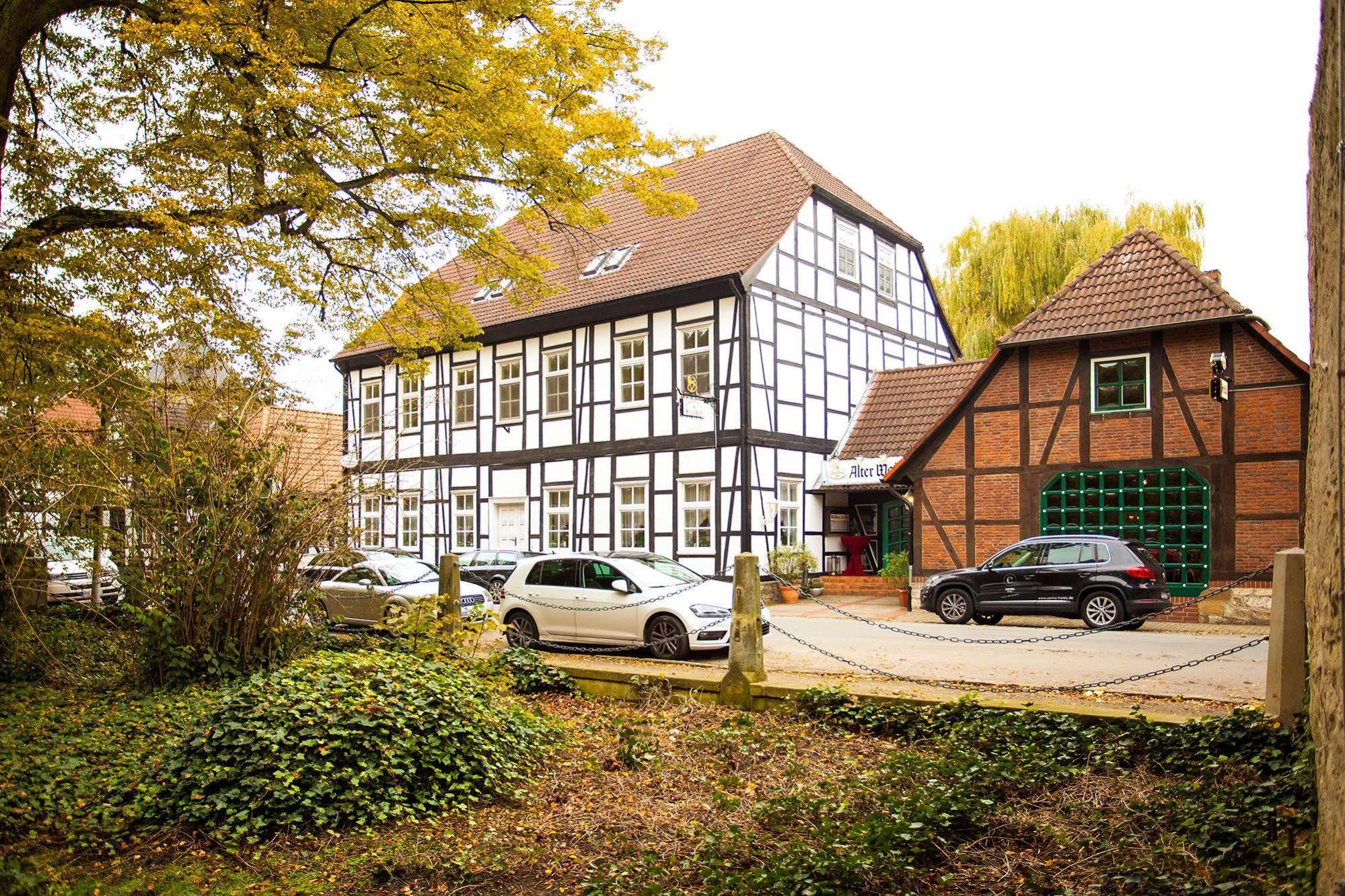 Hotel Alter Wolf Wolfsburg Buitenkant foto